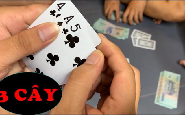 Bài ba cây là gì?
